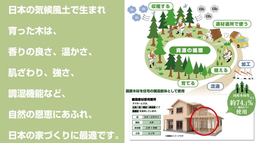 タマホームの使用する木材で国産スギやヒノキ材